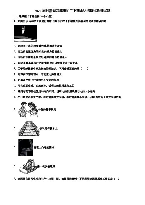 2022届甘肃省武威市初二下期末达标测试物理试题含解析