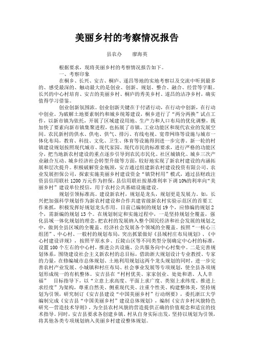 关于美丽乡村建设的考察报告