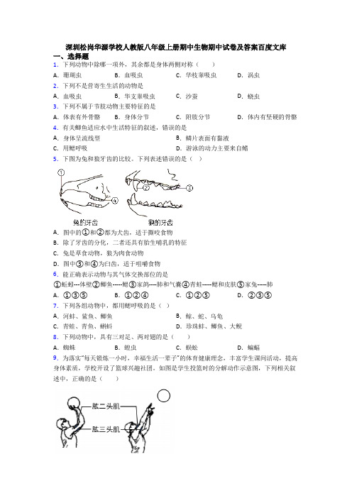 深圳松岗华源学校人教版八年级上册期中生物期中试卷及答案百度文库