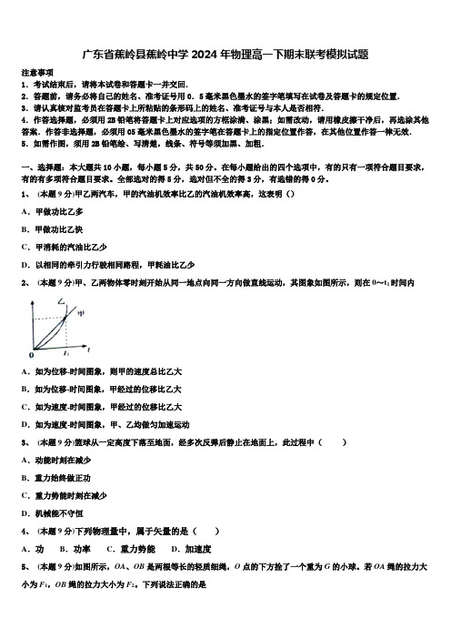 广东省蕉岭县蕉岭中学2024年物理高一下期末联考模拟试题含解析