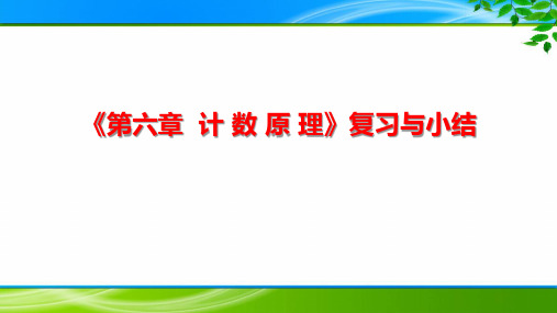 高中数学《第六章 计数原理》复习小结与专题训练