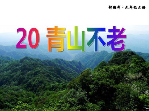 【精推】2019年秋新教材部编版语文六年级上册第20课《青山不老》ppt