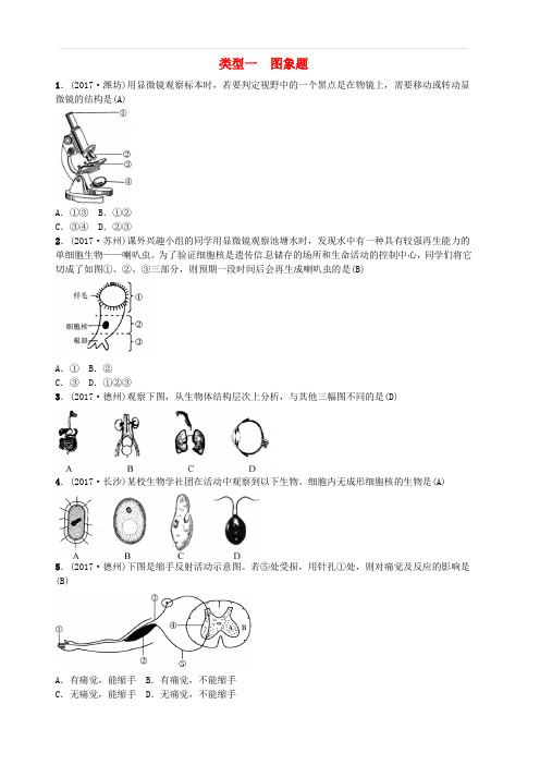 云南专版2019届中考生物题型复习题型一图表题(含答案)
