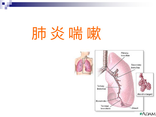 第四节肺炎喘嗽PPT课件