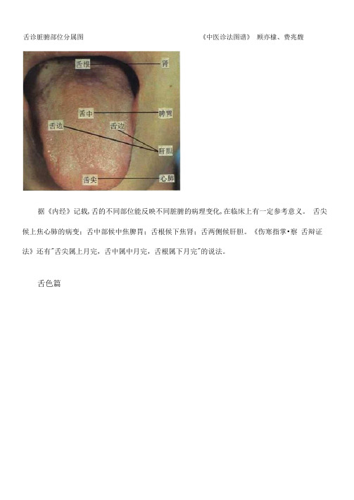 61张高清舌诊图谱珍藏版