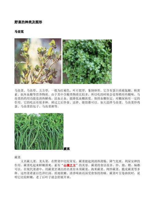 野菜的种类及图形