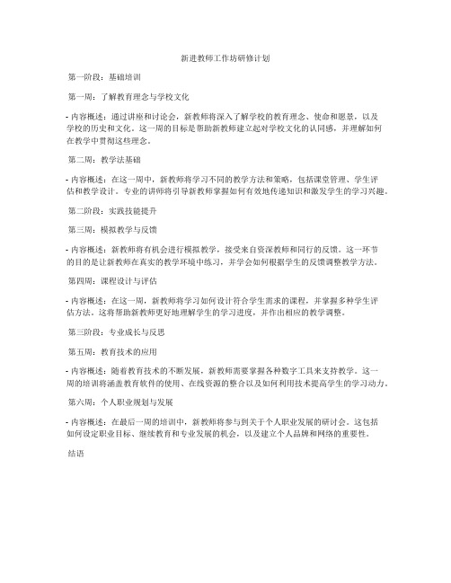 新进教师工作坊研修计划