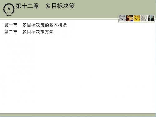 第十二章 多目标决策