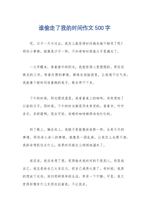 谁偷走了我的时间作文500字