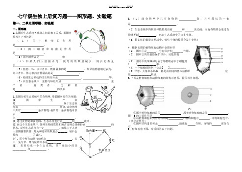 七年级生物上册复习题——图形题、实验题