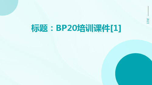 BP20培训课件[1]