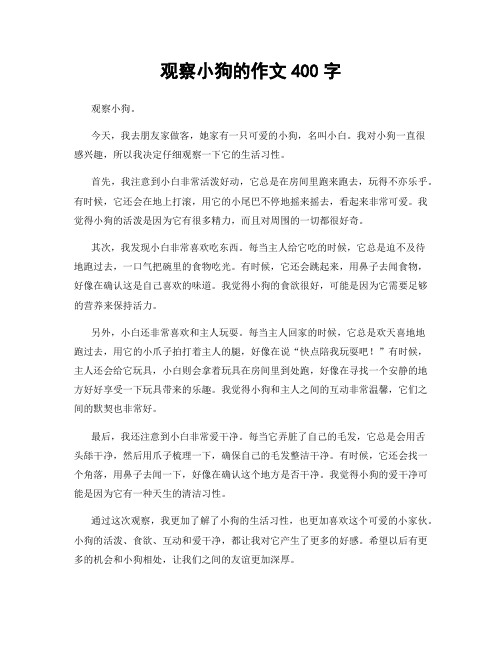 观察小狗的作文400字