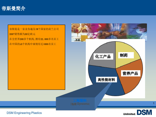 DSM的公司简介