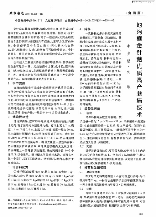 地沟棚金针菇优质高产栽培技术