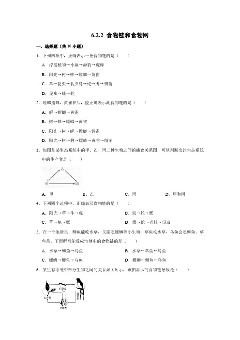 济南版生物八年级下册食物链和食物网