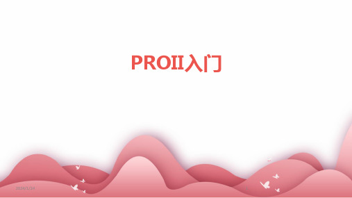 02667_PROII入门