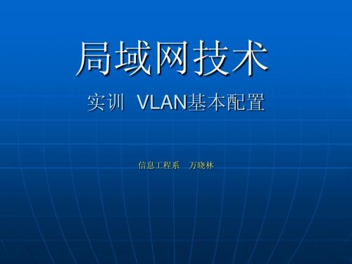 VLAN配置