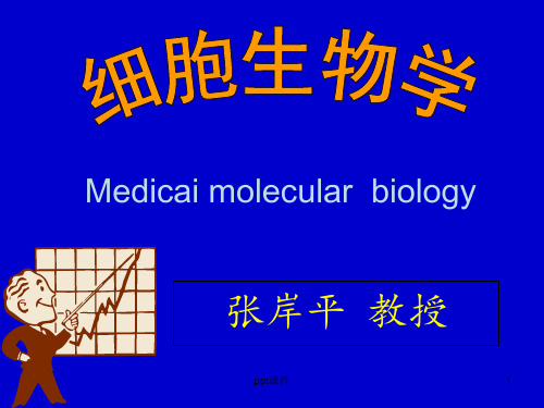 细胞生物学--细胞内膜系统  ppt课件