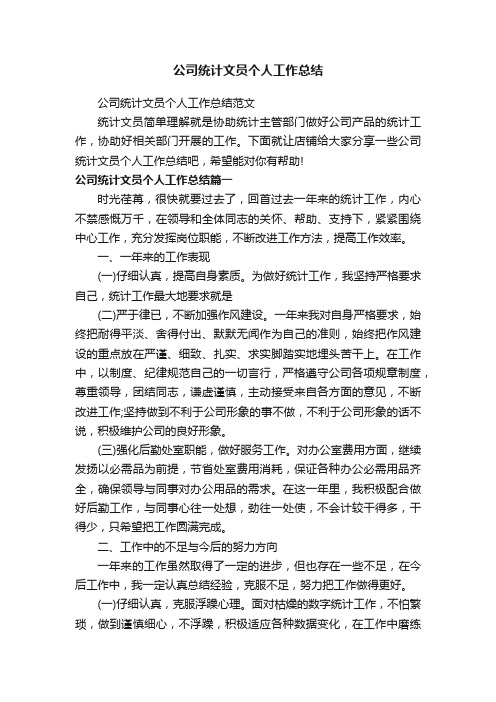 公司统计文员个人工作总结