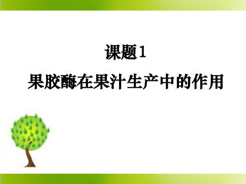 人教版高中生物选修1专题2专题4+酶的研究与应用课题1《果胶酶在果汁生产中的作用》参考课件(共24张PPT)