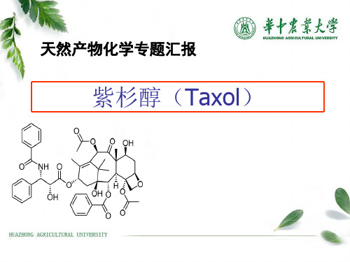 紫杉醇(Taxol)