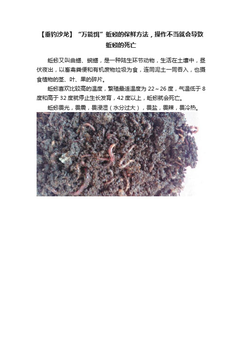 【垂钓沙龙】“万能饵”蚯蚓的保鲜方法，操作不当就会导致蚯蚓的死亡