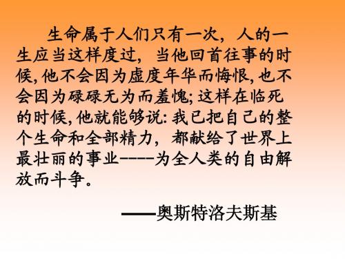 钢铁是这样炼成的课件(政治人教版七年级下)