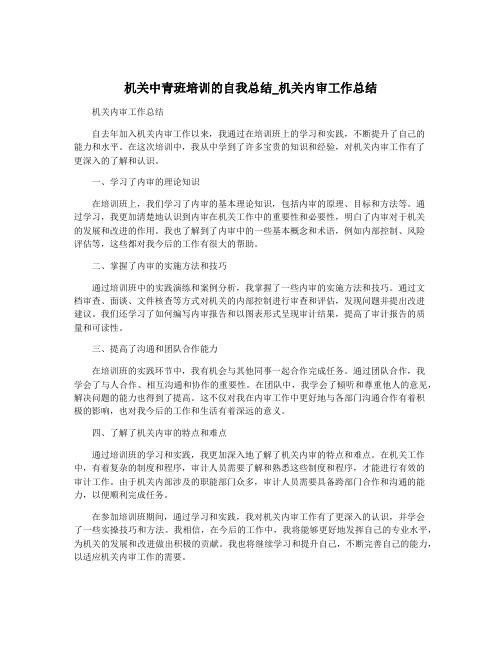 机关中青班培训的自我总结_机关内审工作总结