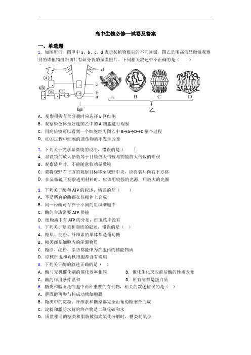 高中生物必修一试卷及答案