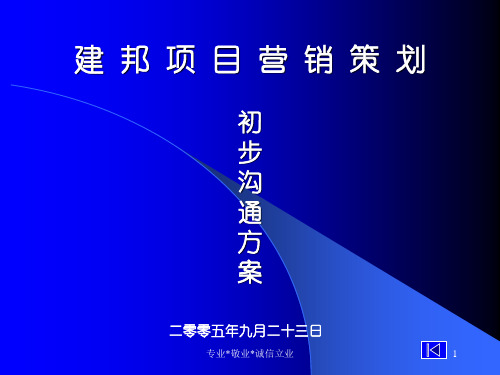 项目营销策划初步沟通方案52页