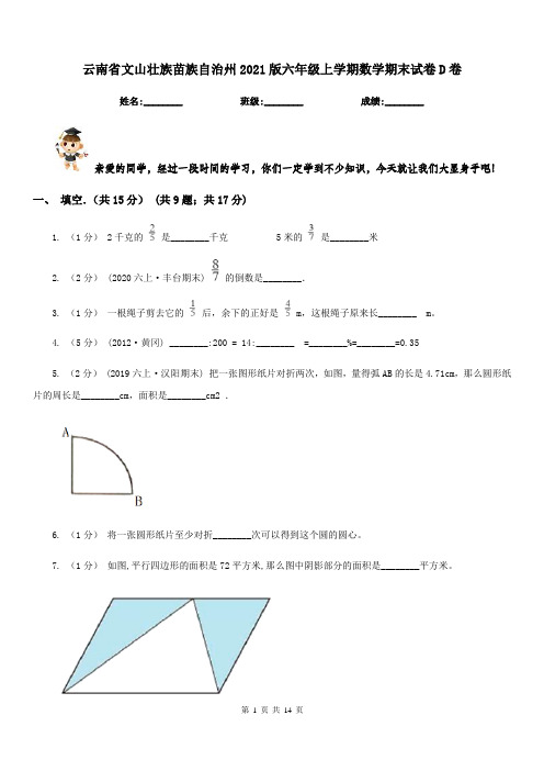 云南省文山壮族苗族自治州2021版六年级上学期数学期末试卷D卷