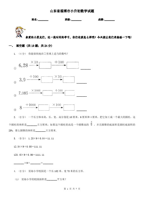 山东省淄博市小升初数学试题