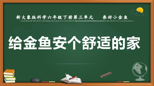 新大象版科学六年级下册《给金鱼安个舒适的家》优质课件