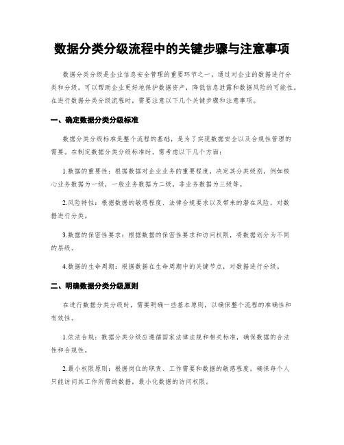 数据分类分级流程中的关键步骤与注意事项