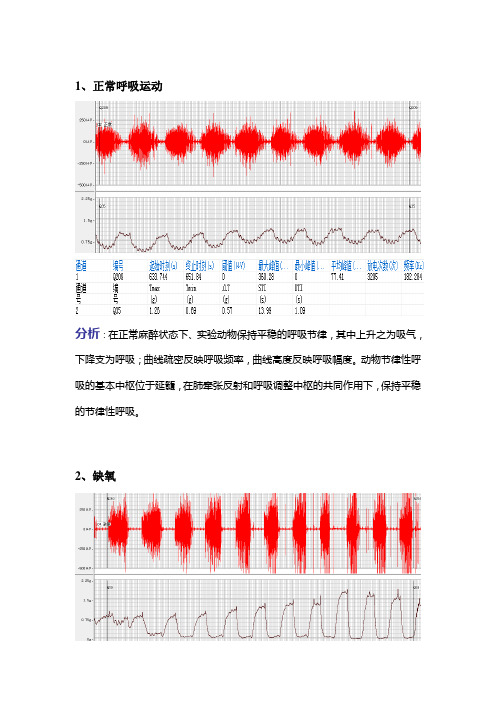 呼吸运动的调节及其影响因素