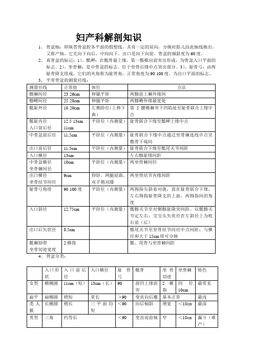 妇产科解剖常识