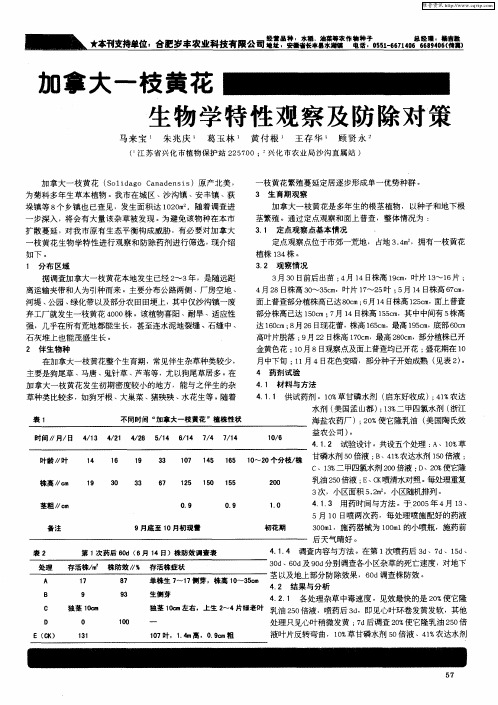 加拿大一枝黄花生物学特性观察及防除对策