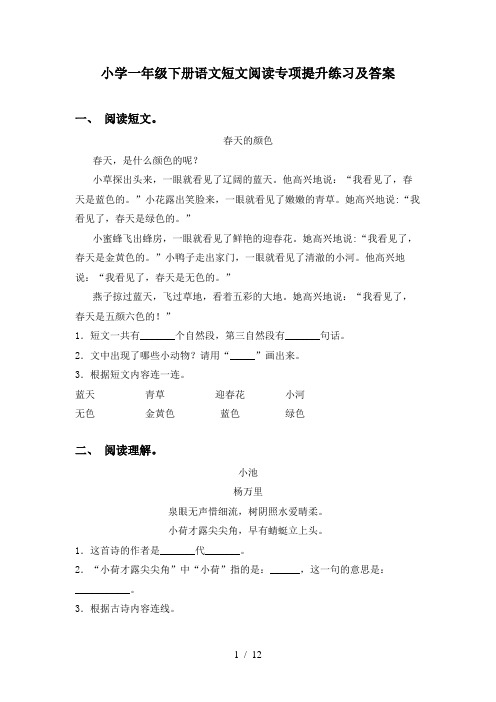 小学一年级下册语文短文阅读专项提升练习及答案