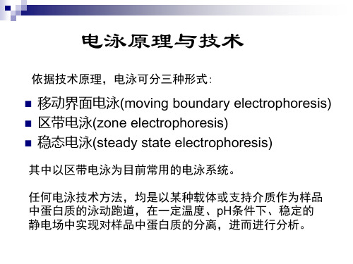 生物化学实验电泳技术原理