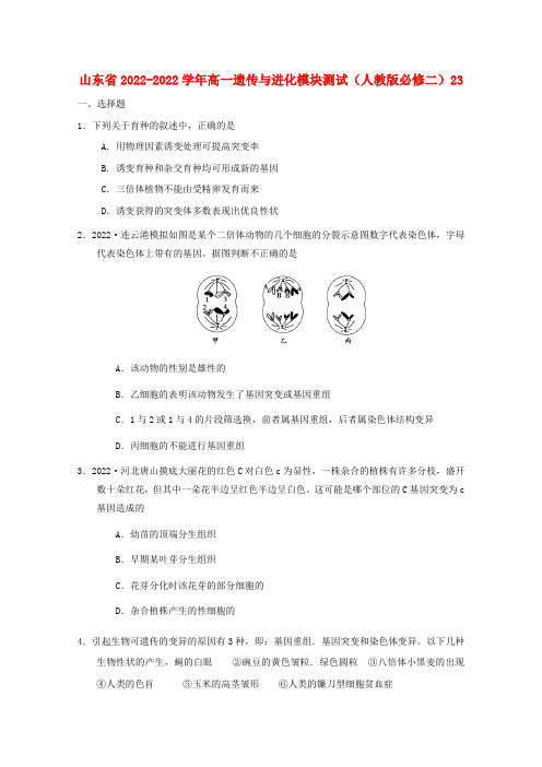 山东省2022学年高中生物遗传与进化模块测试23 新人教版必修2