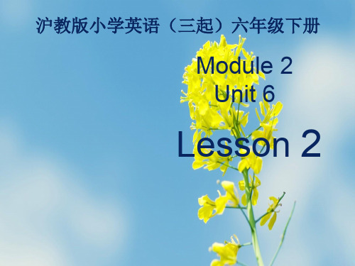 上海教育版六下英语module 2 unit 6《pe lessons》(第2课时)ppt课件