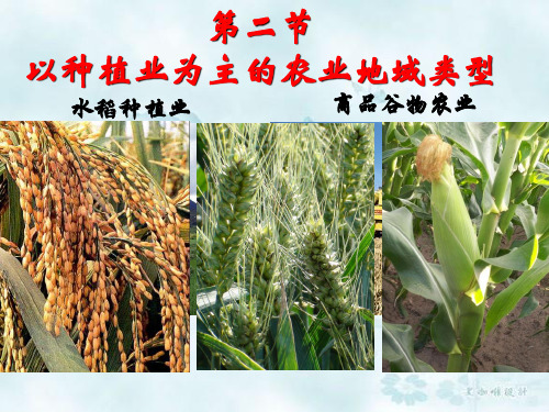 以种植业为主的农业地域类型PPT