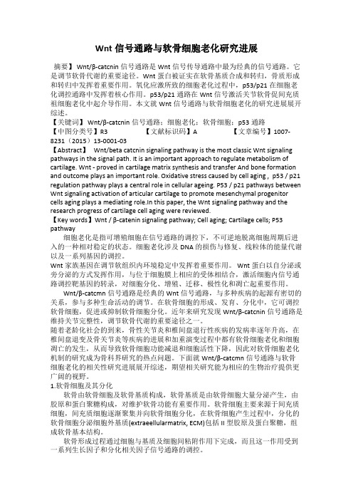 Wnt信号通路与软骨细胞老化研究进展