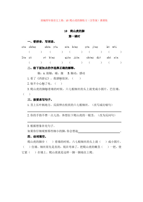 5.部编四年级语文上册：10 爬山虎的脚练习(含答案)课课练