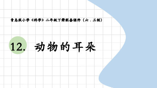 青岛版六三制二年级12-《动物的耳朵》教学课件