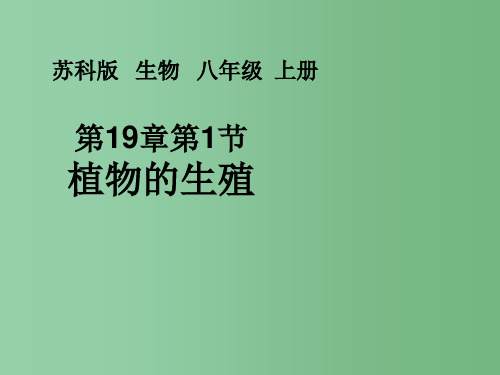 八年级生物上册 19.1 植物的生殖教学课件 苏科版