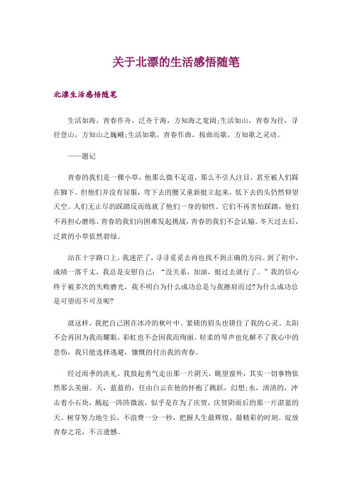 励志_关于北漂的生活感悟随笔