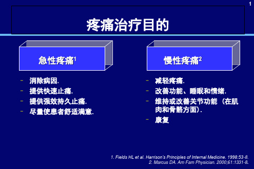 疼痛的药物治疗PPT课件