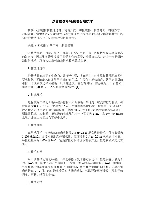 沙糖桔幼年树栽培管理技术