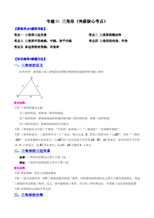 专题01 三角形(突破核心考点)【知识梳理+解题方法+专题过关】 (解析版)